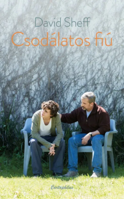 Csodálatos fiú Népszerű