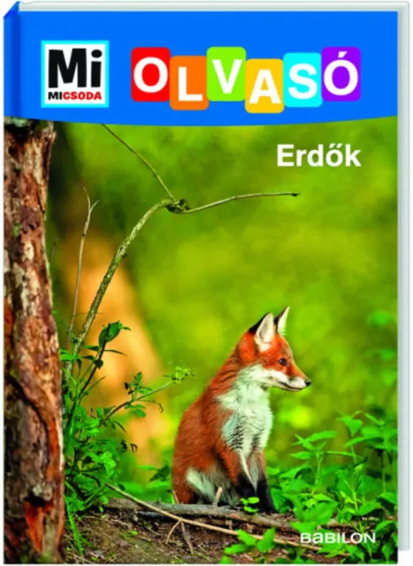 Outlet Mi Micsoda Olvasó - Erdő