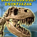Sötétben világító dinoszaurusz-csontvázak Kedvezmény
