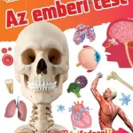 Csak ma AZ EMBERI TEST - FEDEZD FEL!
