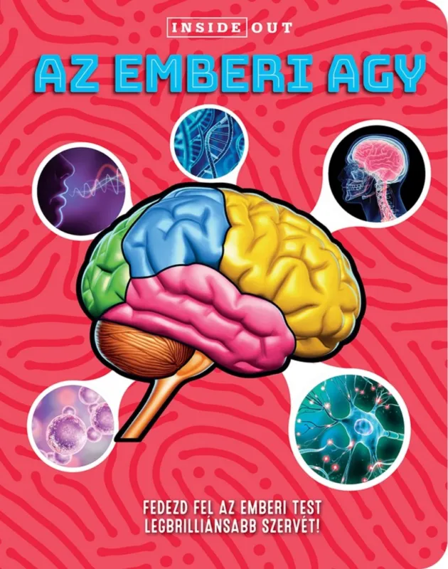 Biztonságos vásárlás AZ EMBERI AGY - FEDEZD FEL AZ EMBERI TEST LEGBRILLIÁNSABB SZERVÉT!