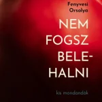 NEM FOGSZ BELEHALNI - KIS MONDANDANÓK Biztonságos fizetés