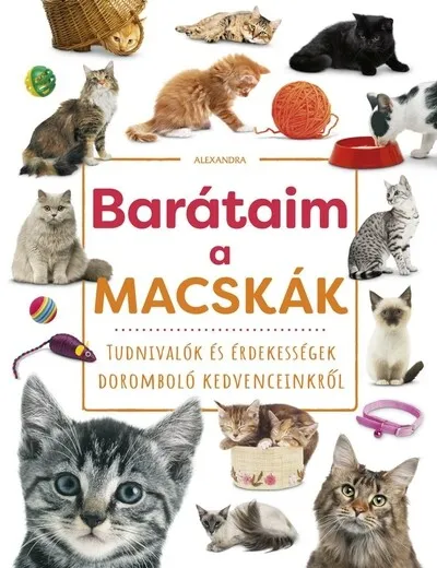 Barátaim, a macskák Vedd meg online