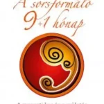 A sorsformáló 9+1 hónap - E-könyv Legjobb ár