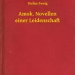 Amok. Novellen einer Leidenschaft - E-könyv Vedd meg online