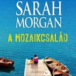 A mozaikcsalád - E-könyv Árcsökkenés