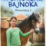 A bátorság bajnoka - E-könyv Utolsó esély