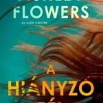 Akció A hiányzó fél - E-könyv