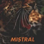 Mistral Jagdreisen 1995/96 Korlátozott ajánlat