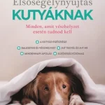 Elsősegélynyújtás kutyáknak Csak ma